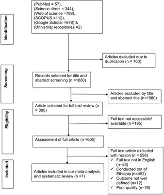 Stillbirth Among Patients With Diabetes in Pregnancy in Ethiopia: Systematic Review and Meta-Analysis